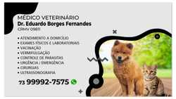 Logo M. V. Eduardo Borges